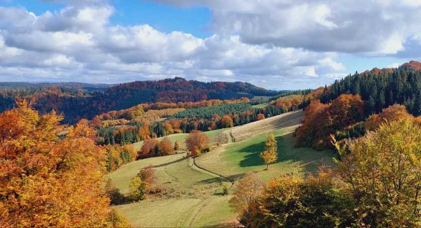 fot. Ewa Garbacz