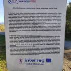 zdjęcie nr 42