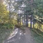 zdjęcie nr 34
