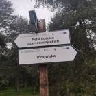 zdjęcie nr 7