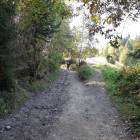 zdjęcie nr 19